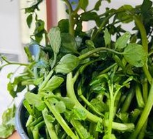 Watercress