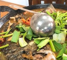 Beer Fish