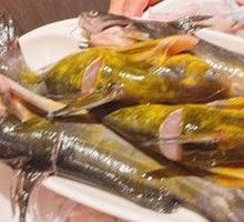 Yellow Croaker