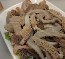 Morel Mushroom
