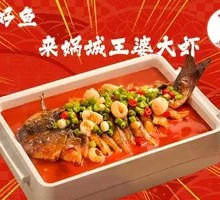 Grilled Catfish