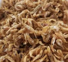Fried Shrimp
