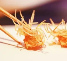 Shrimp Head