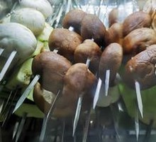 Shiitake Mushroom