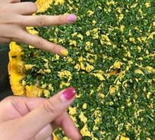 Fried Pancake