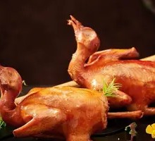 Aromatherapy Pigeon