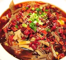 Premium Maoxuewang