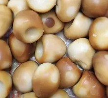 Quail Egg