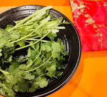 Cilantro