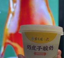 Creamy Milk Yogurt