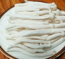 Spicy Sea Mushroom