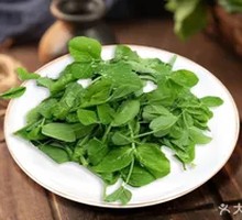 Pea Shoots