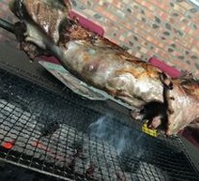 Lamb Leg
