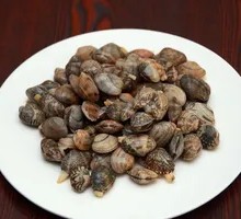 Clam