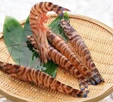 Freshwater Prawn