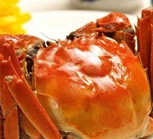 Premium Female Crab