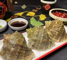 Giant Abalone