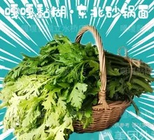 Bamboo Shoots