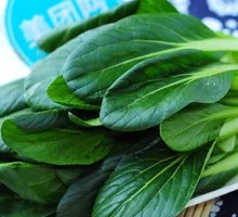 Baby Bok Choy