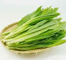 Oilseed lettuce