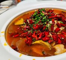 Premium Maoxuewang