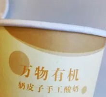 Creamy Milk Yogurt
