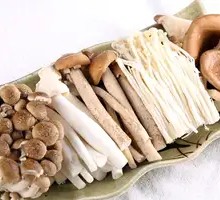 Mushroom