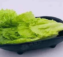 Romaine lettuce