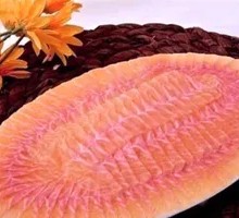 Fresh Rainbow Trout