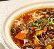 Premium Maoxuewang