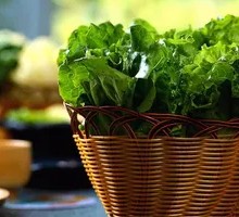 Lettuce