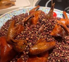 Red Cannon Pigeon