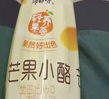 Mango Pudding