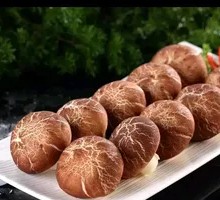 Shiitake Mushroom