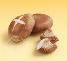 Shiitake Mushroom