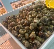 Spicy Water Snail