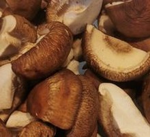Mushroom