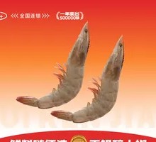 Sea Shrimp