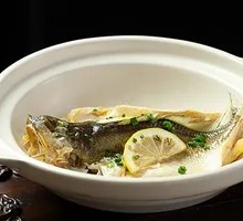 Yellow Croaker