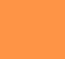 Sunite Lamb Skewers