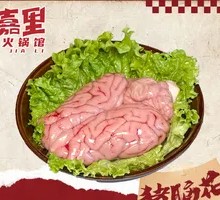 Fresh Brain Tissue