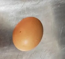 Original Flavor Egg