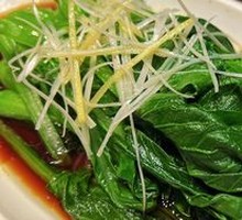 Guangdong Bok Choy