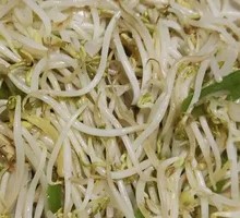 Stir-Fried Pork with Bean Sprouts