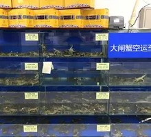 Fresh Mud Crab