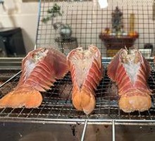 Pipa Shrimp