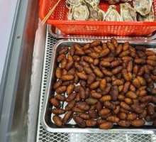 Silkworm pupae