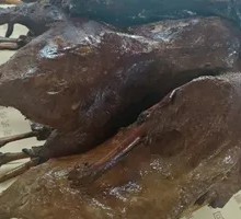 Roast Goose