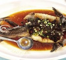 Sturgeon