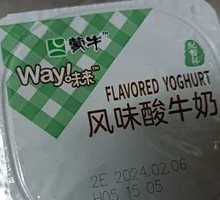 Mengniu Flavored Yogurt